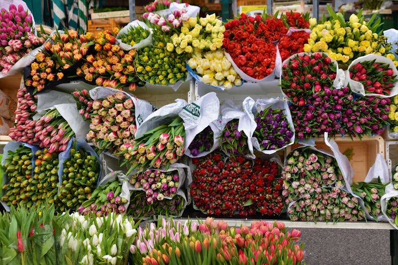 Bouquet coloré